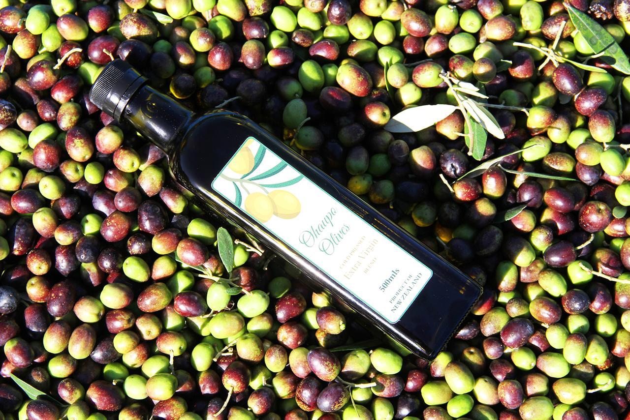 Ohaupo Olives B&B 외부 사진