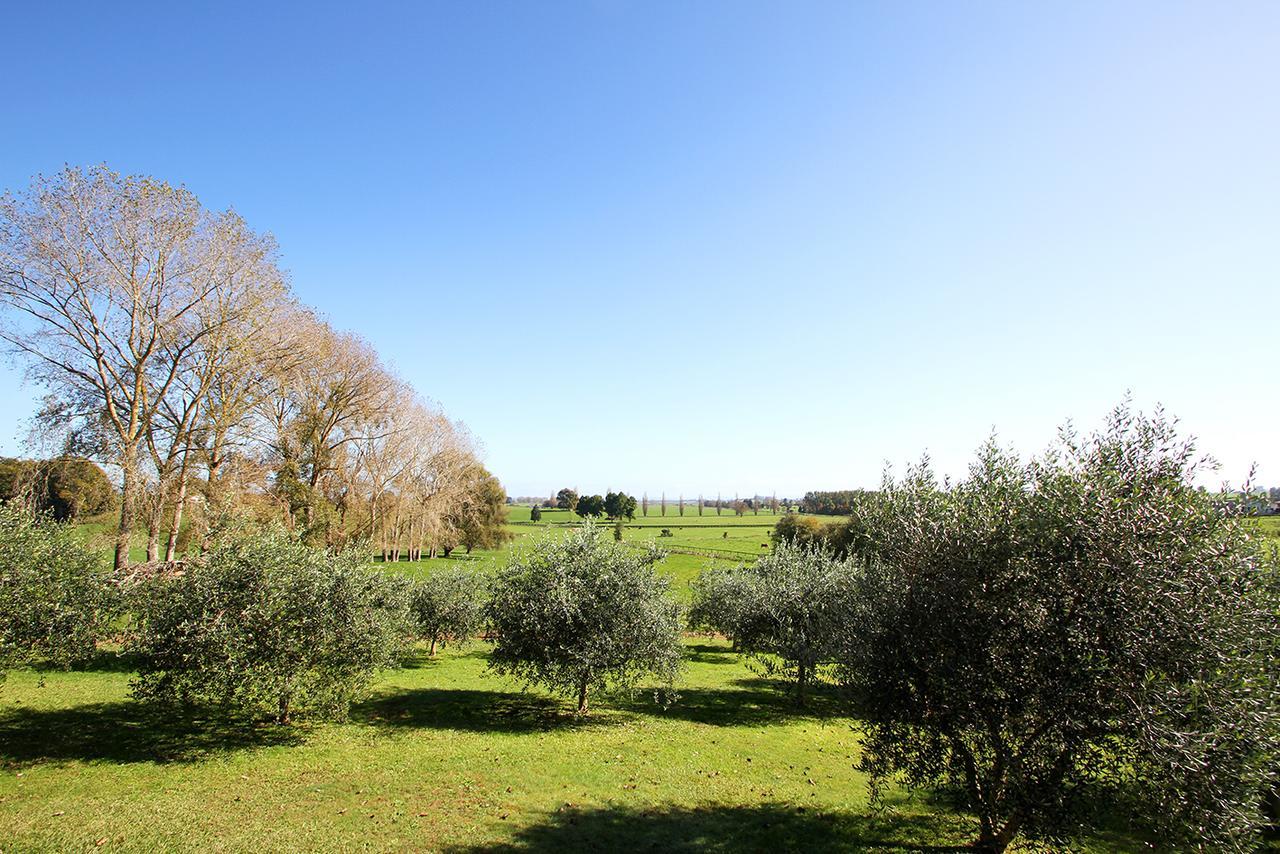 Ohaupo Olives B&B 외부 사진
